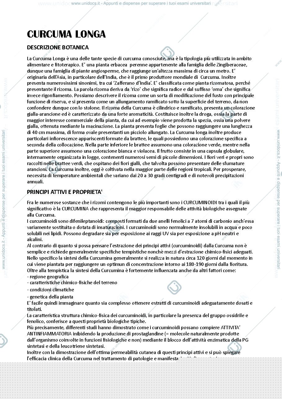 Anteprima pagina 1 — Piante officinali: curcuma longa
