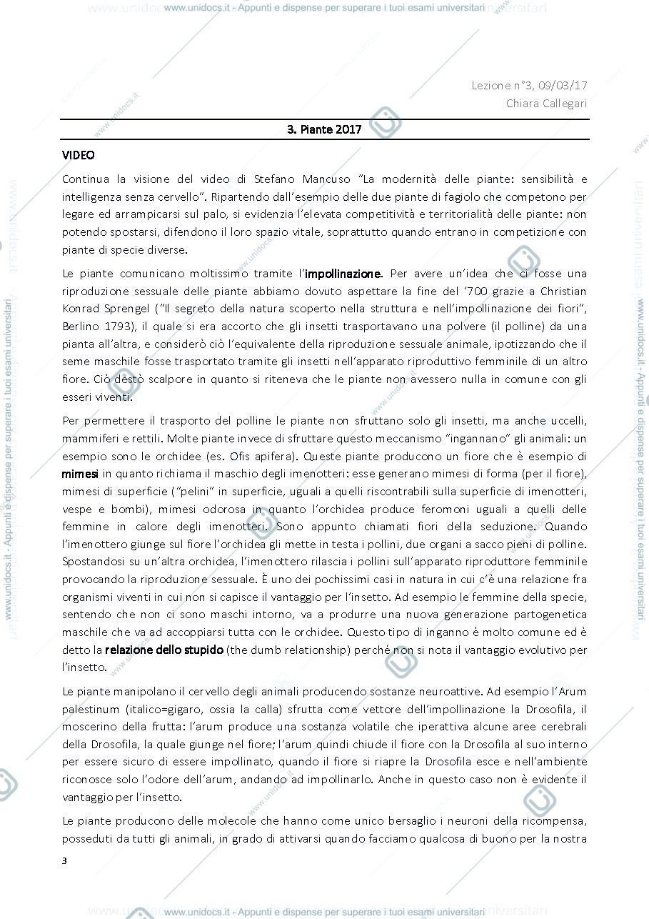 Anteprima pagina 3 — sbobine