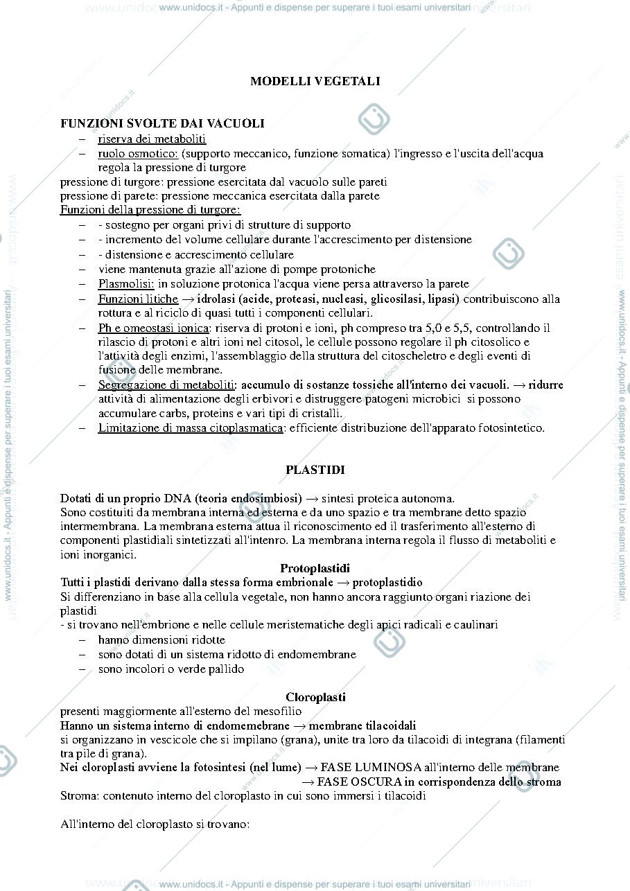 Anteprima pagina 1 — Modelli vegetali e animali