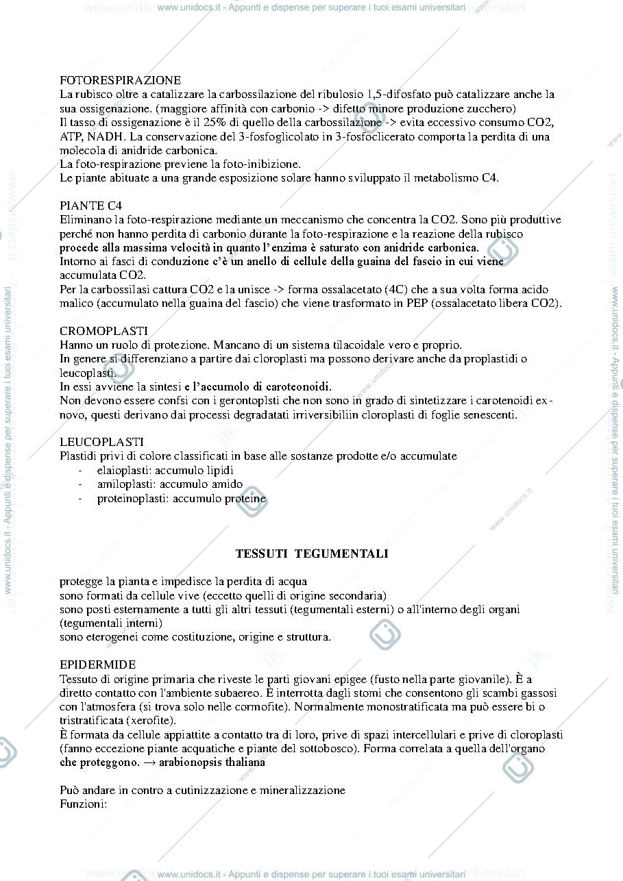 Anteprima pagina 3 — Modelli vegetali e animali