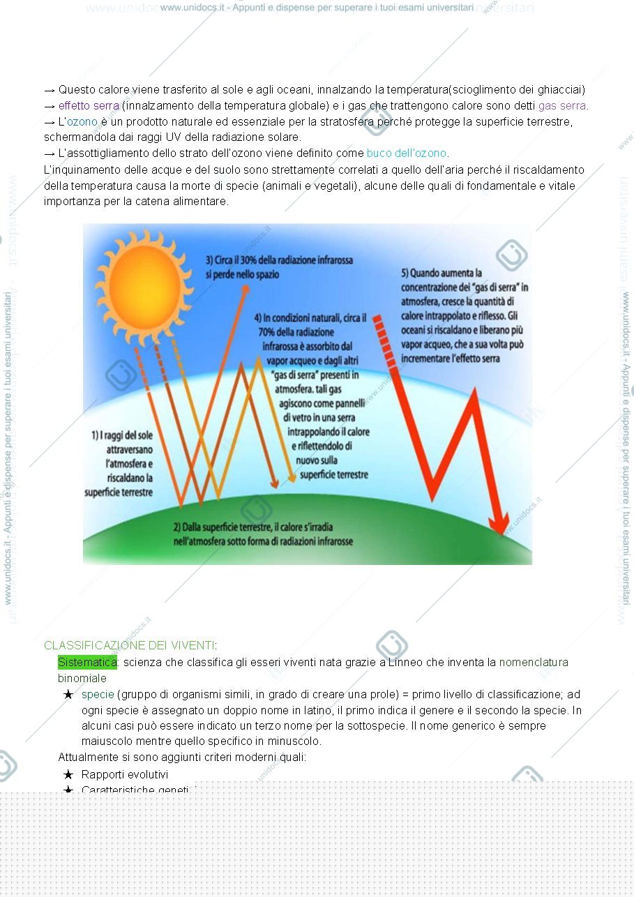 Anteprima pagina 3 — Appunti di biologia pt.2