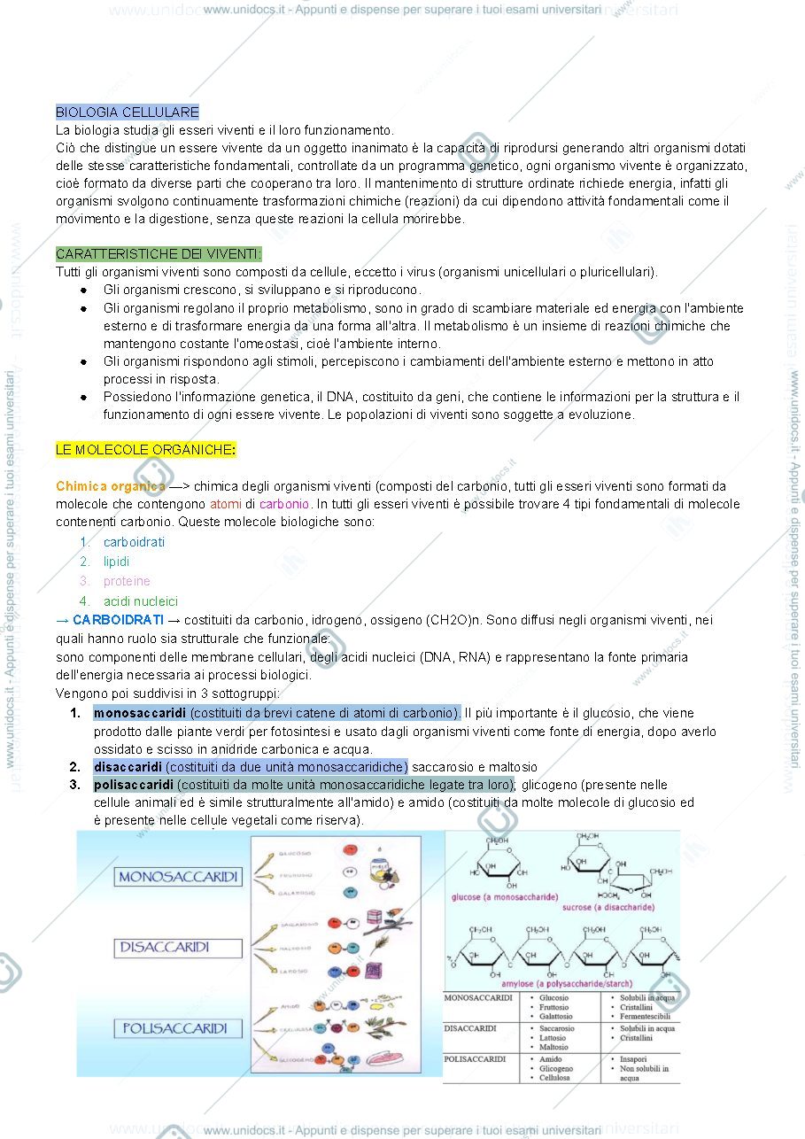 Anteprima pagina 1 — Appunti di biologia pt.1