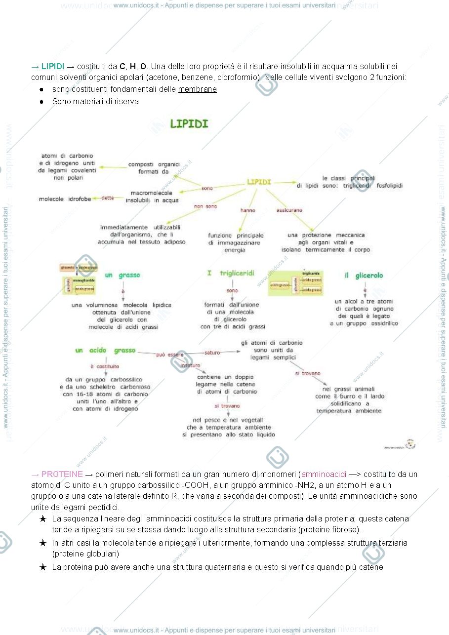 Anteprima pagina 2 — Appunti di biologia pt.1