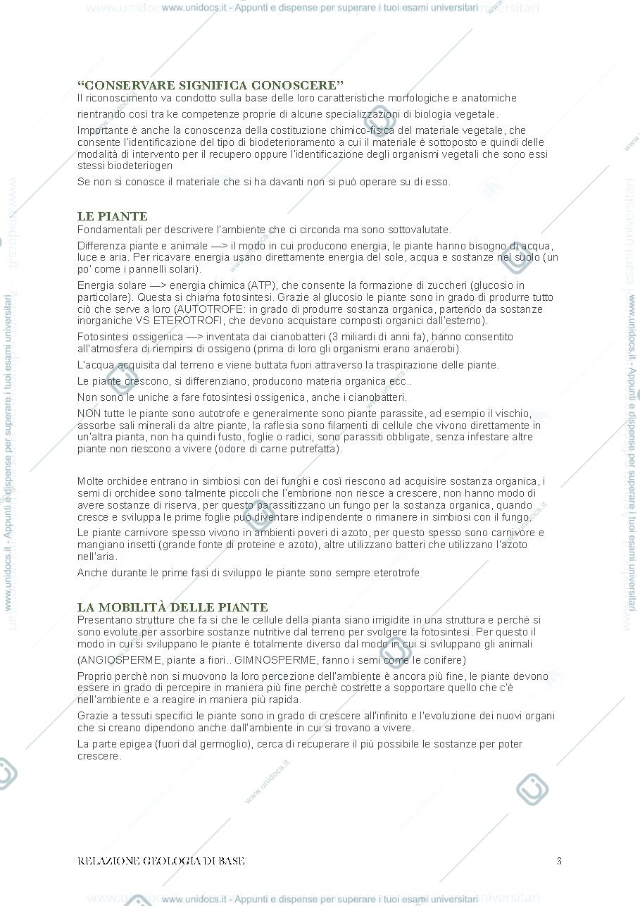 Anteprima pagina 3 — Biologia vegetale - appunti