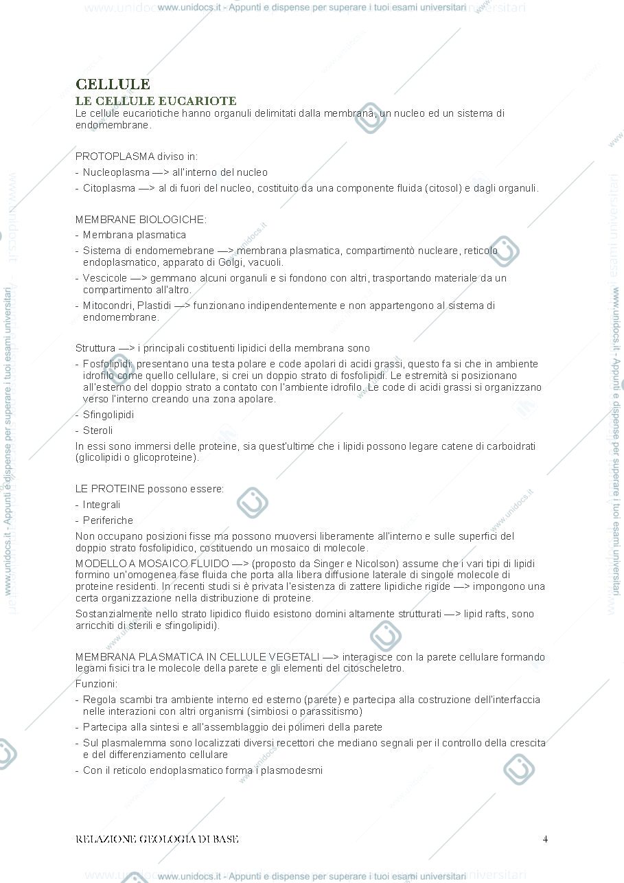 Anteprima pagina 4 — Biologia vegetale - appunti