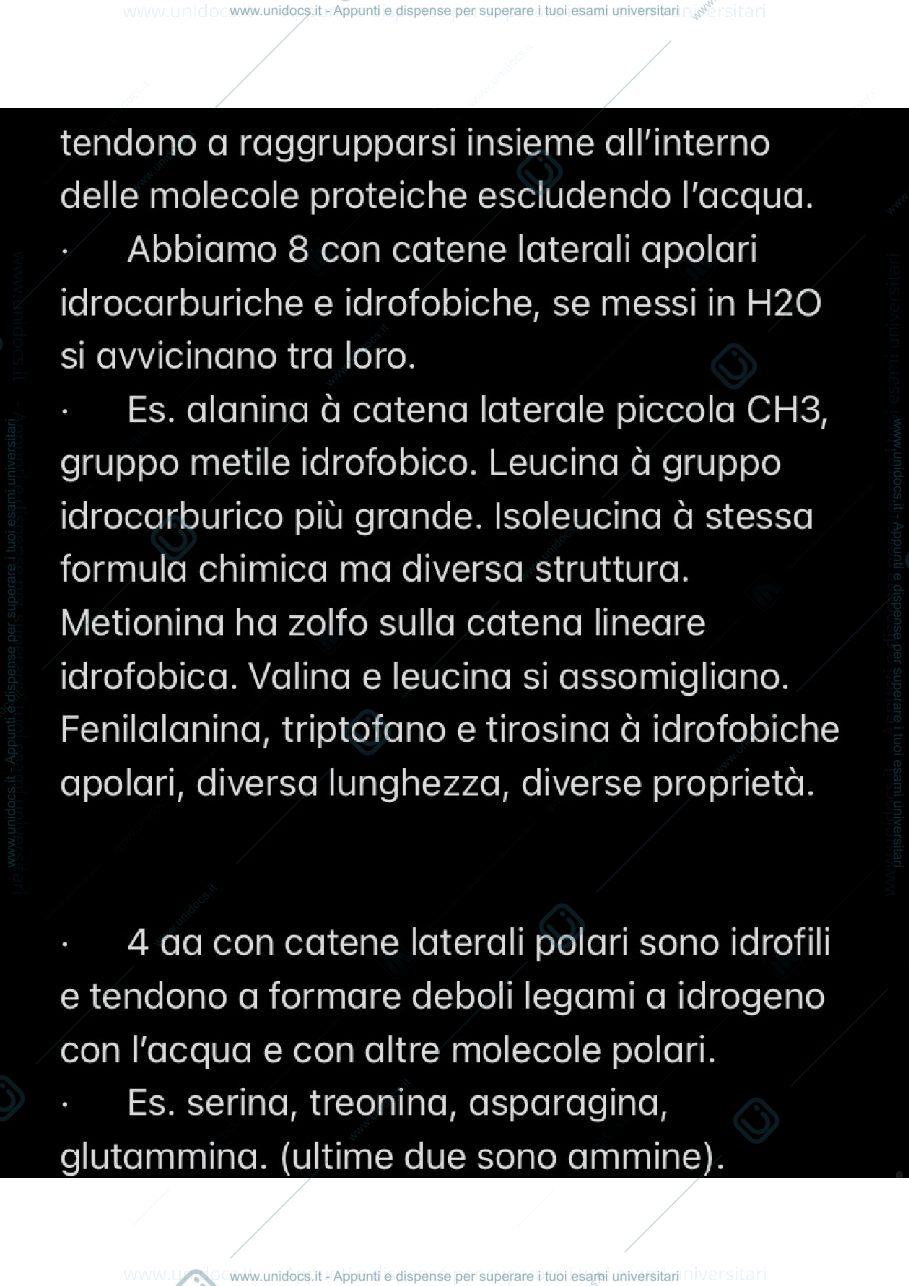 Anteprima pagina 2 — Macromolecole biologiche 