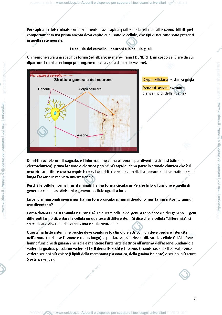 Anteprima pagina 2 — APPUNTI BIOLOGIA 