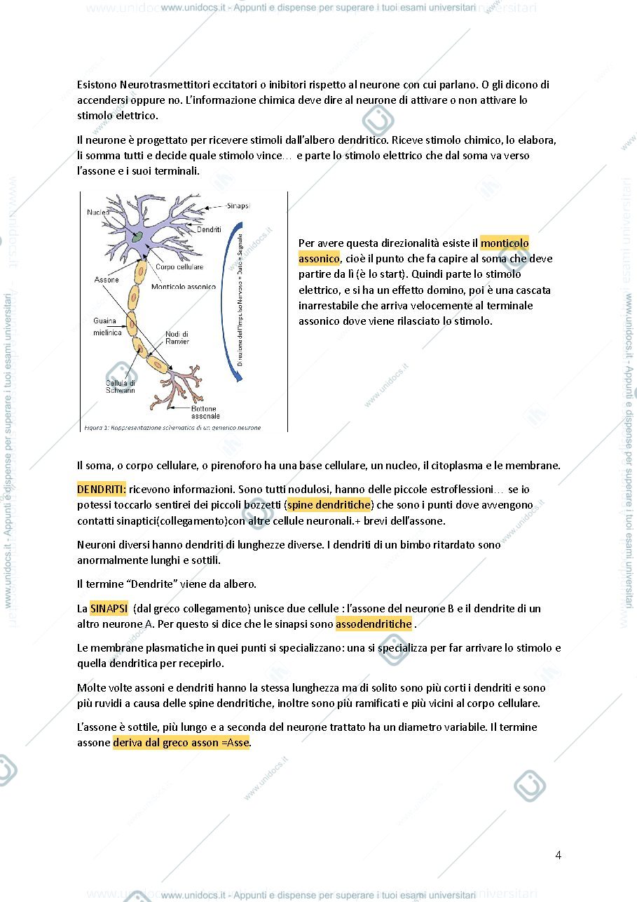 Anteprima pagina 4 — APPUNTI BIOLOGIA 
