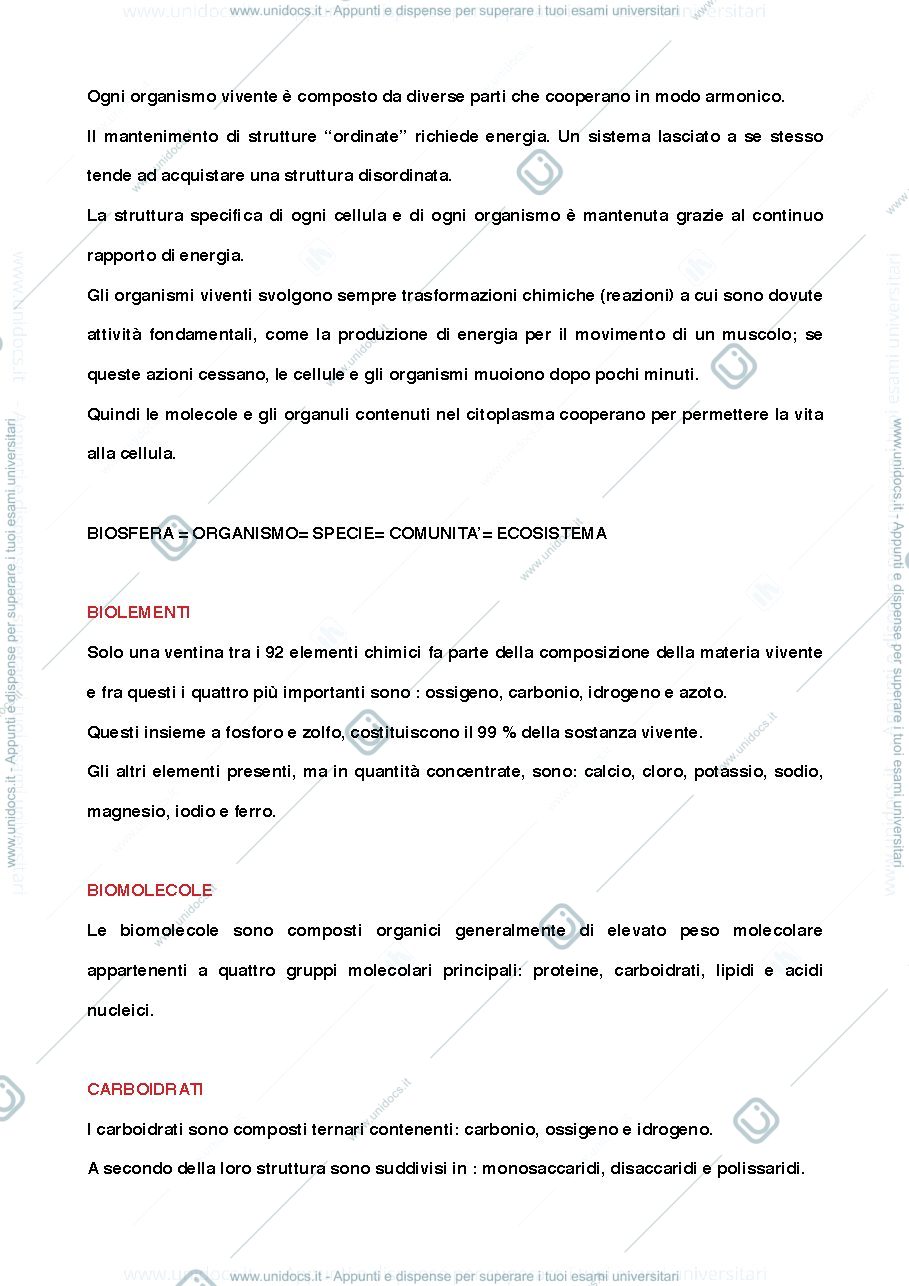 Anteprima pagina 2 — Sintesi biologia