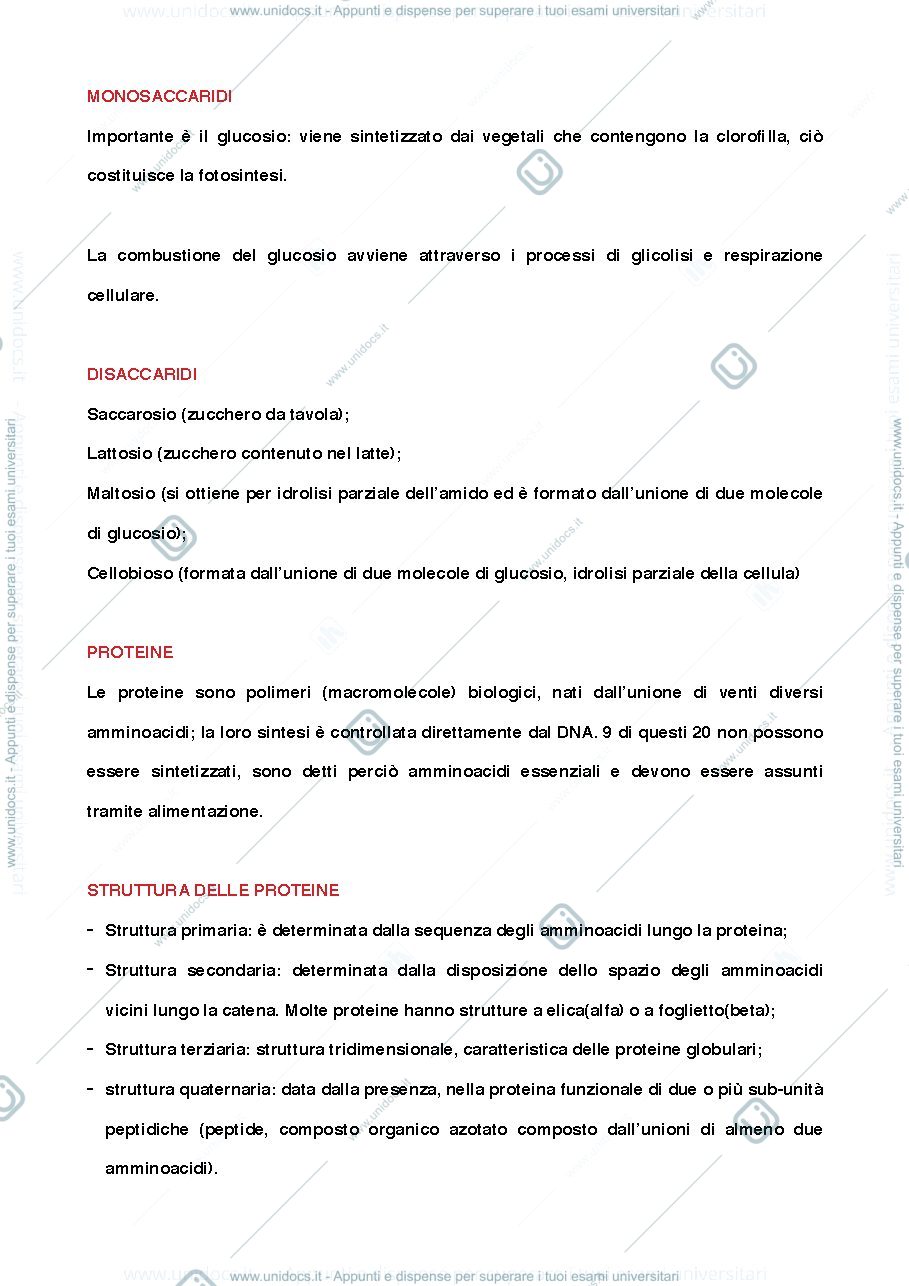 Anteprima pagina 3 — Sintesi biologia
