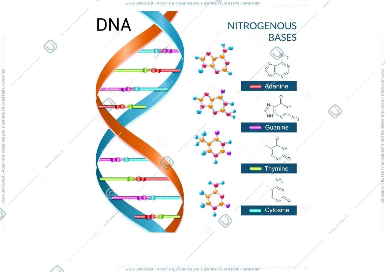Anteprima pagina 1 — Genetica