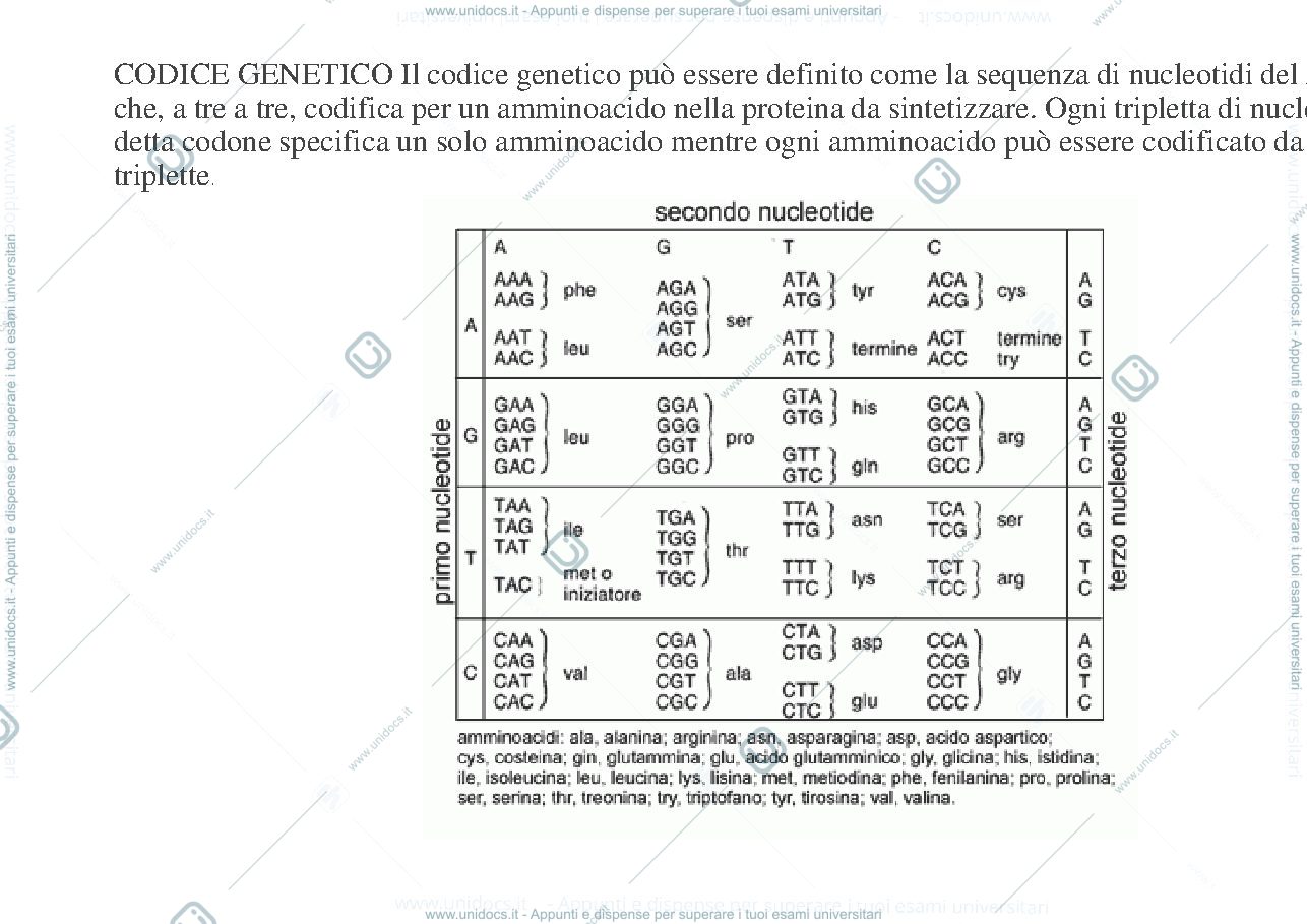 Anteprima pagina 2 — Genetica