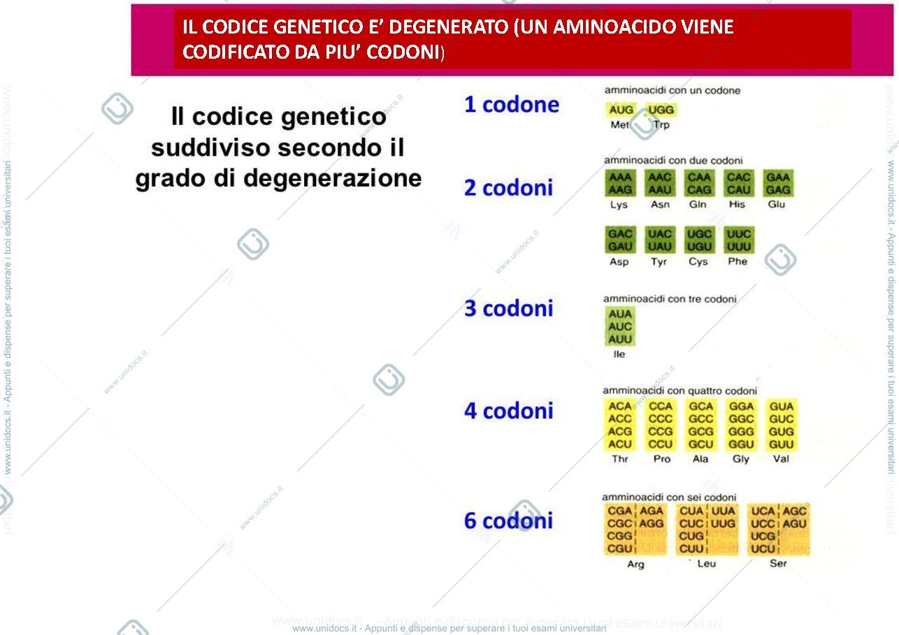 Anteprima pagina 4 — Genetica