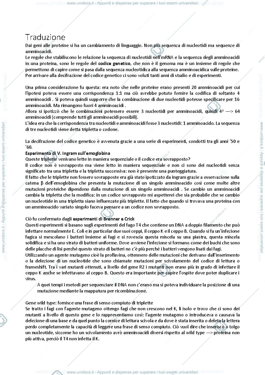 Anteprima pagina 1 — Traduzione