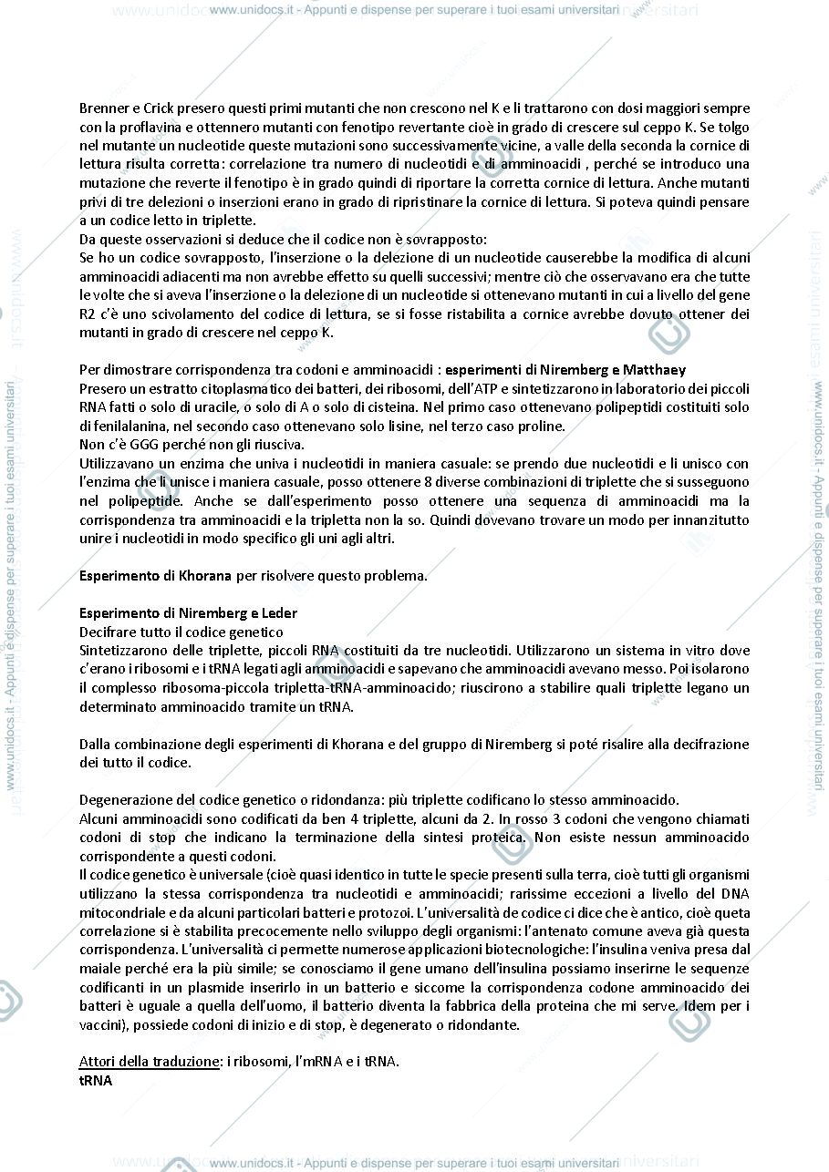 Anteprima pagina 2 — Traduzione
