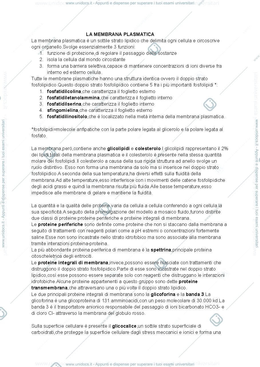 Anteprima pagina 1 — Citologia