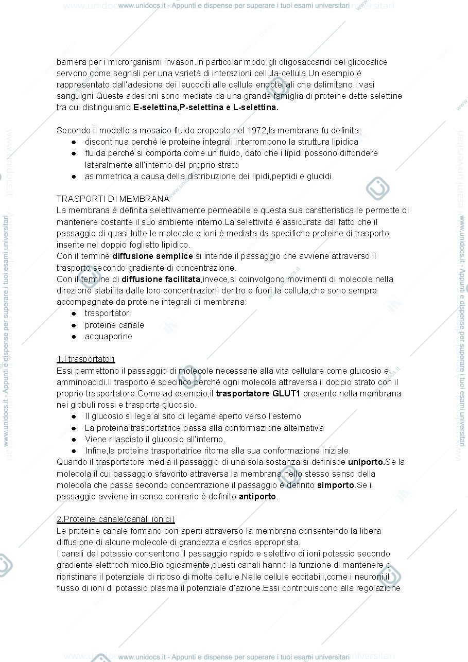 Anteprima pagina 2 — Citologia