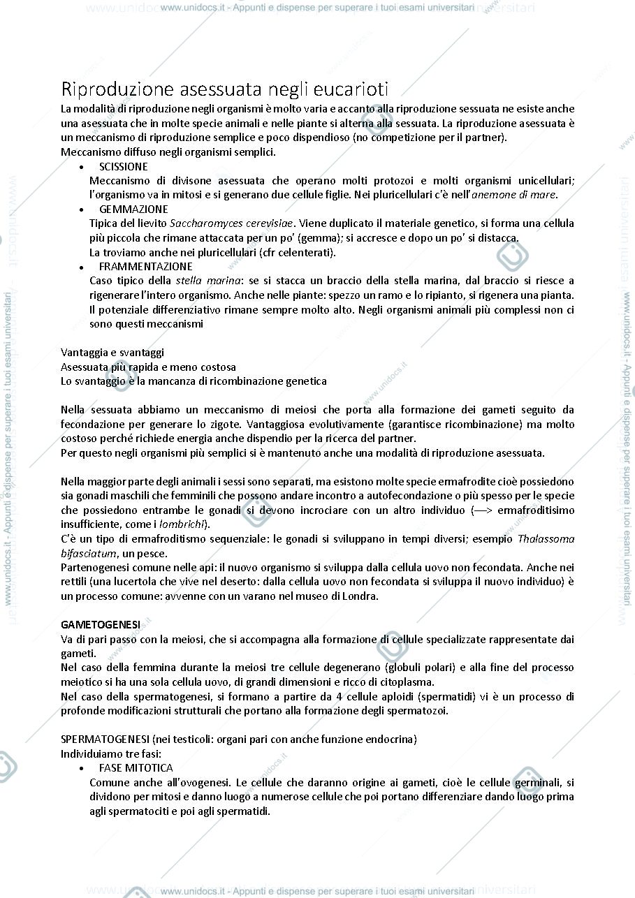 Anteprima pagina 1 — Fecondazione e gametogenesi