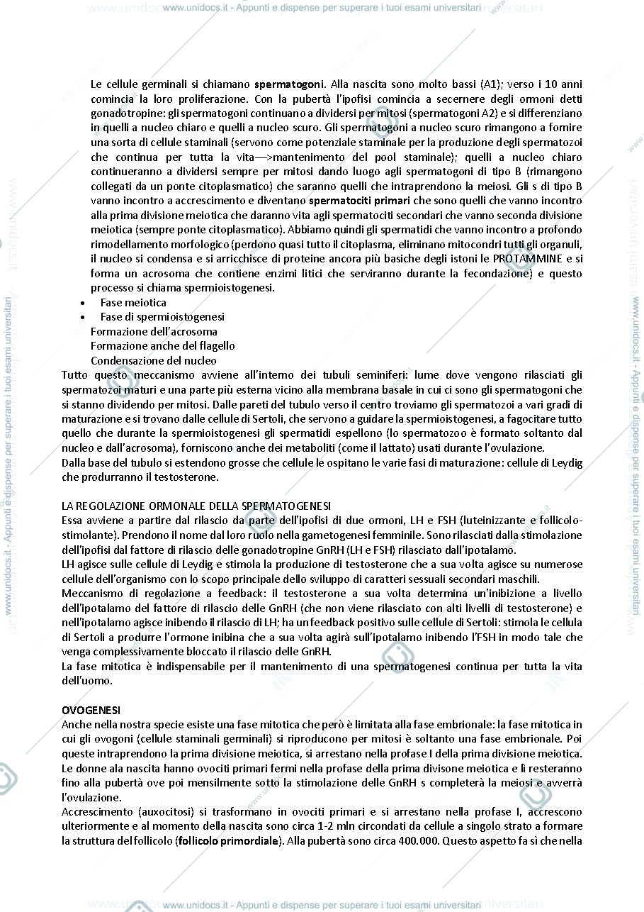 Anteprima pagina 2 — Fecondazione e gametogenesi