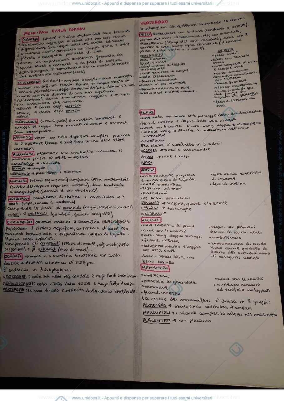 Anteprima pagina 2 — Riassunti di biologia