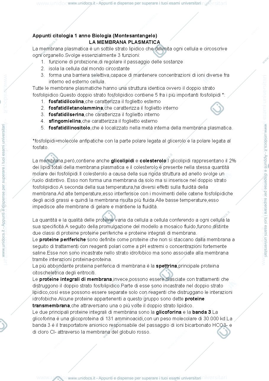 Anteprima pagina 1 — Citologia 