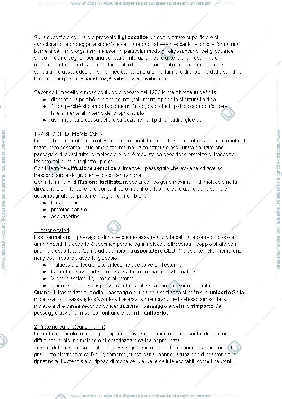 Anteprima pagina 2 — Citologia 