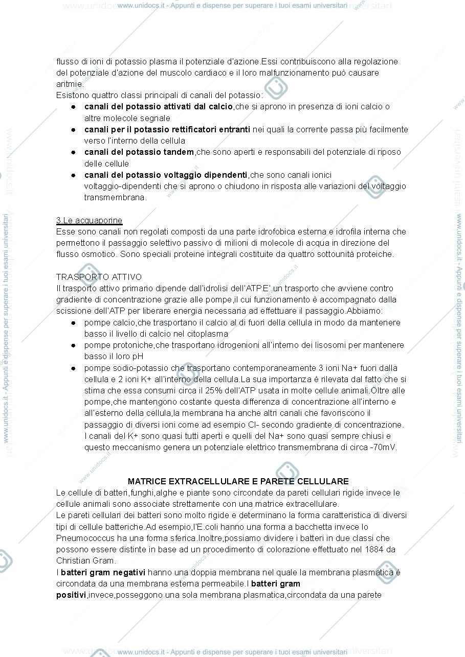 Anteprima pagina 3 — Citologia 