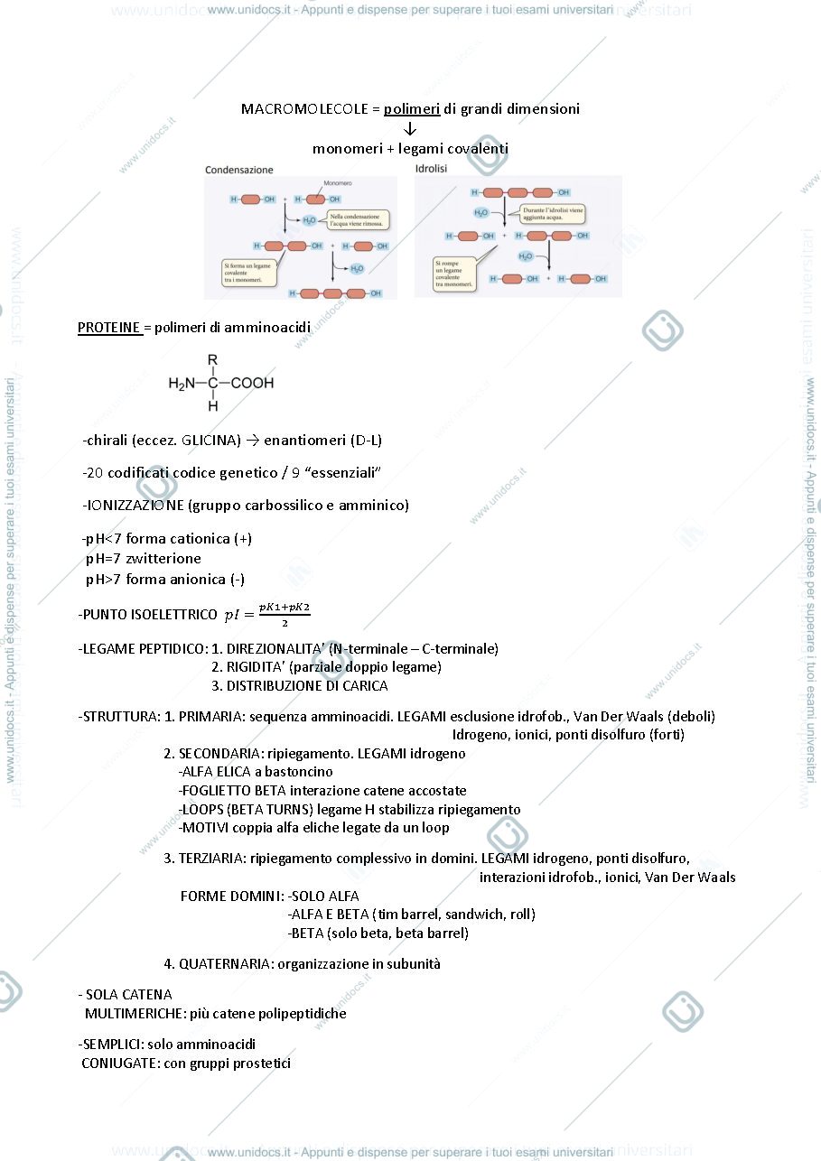 Anteprima pagina 1 — Proteine