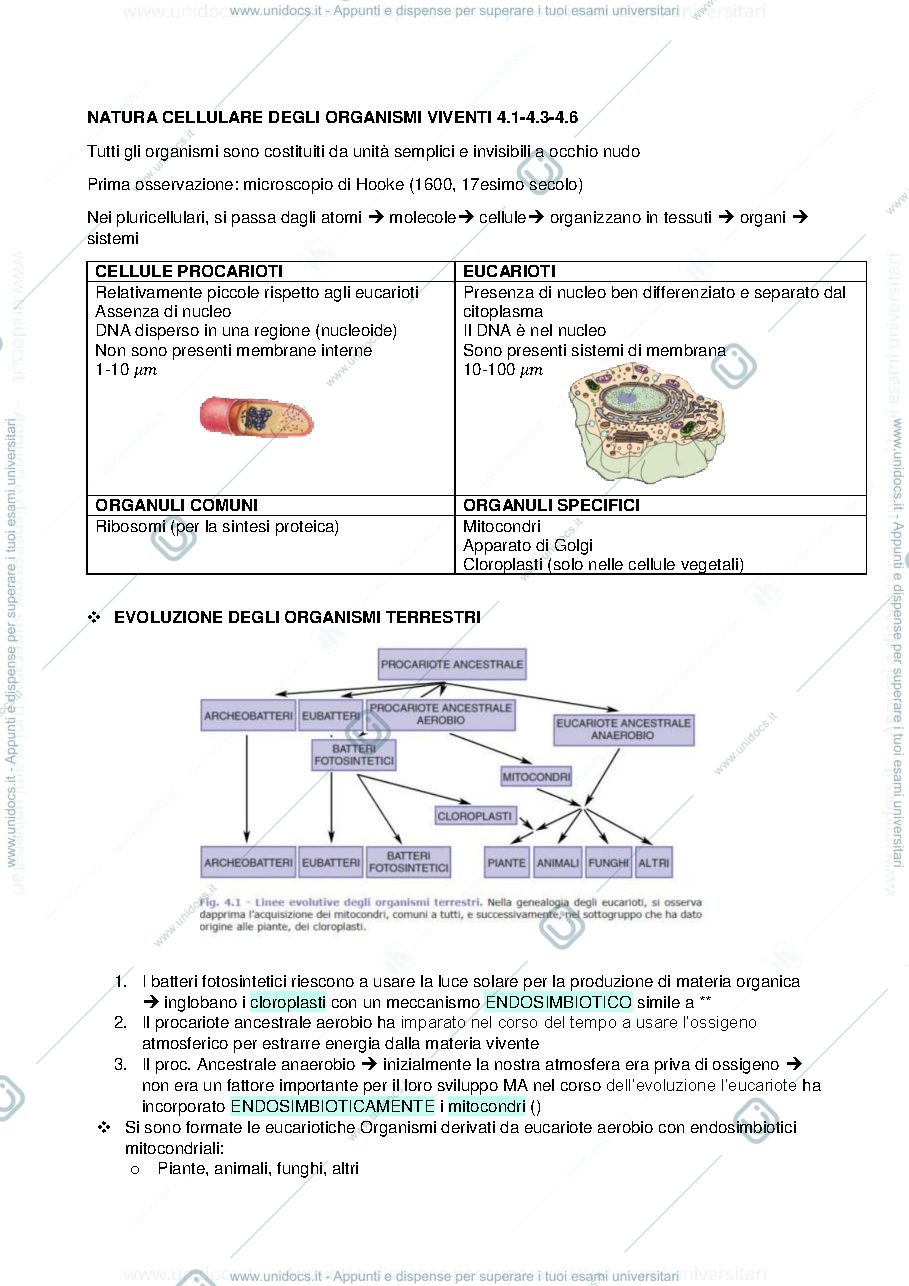 Anteprima pagina 1 — Natura cellulare del sistema nervoso