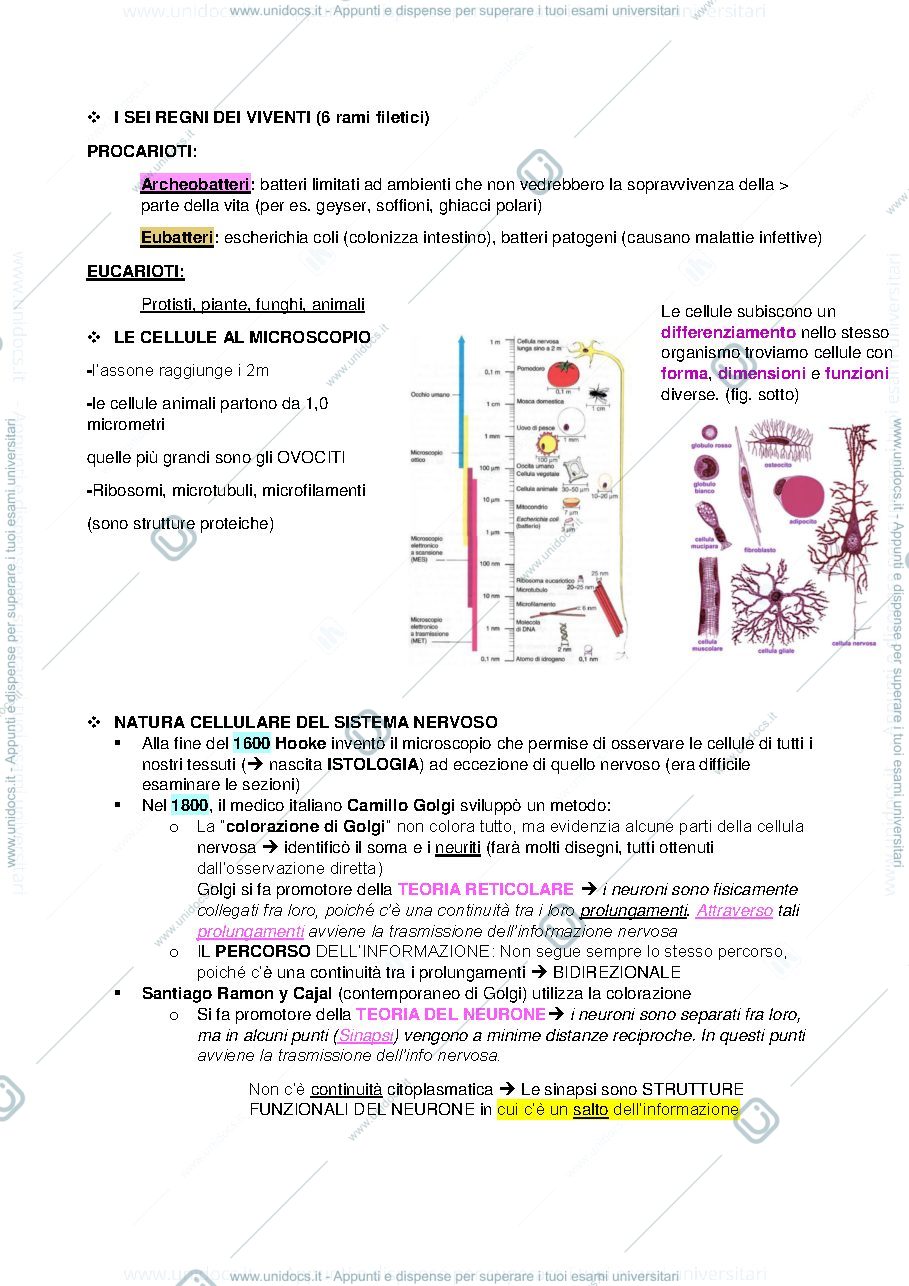 Anteprima pagina 2 — Natura cellulare del sistema nervoso