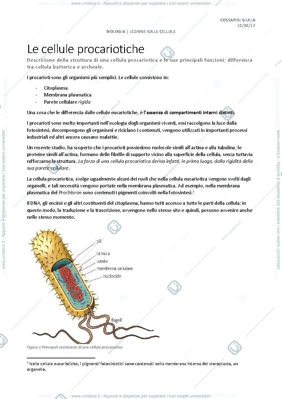 Anteprima pagina 1 — cellula procariote