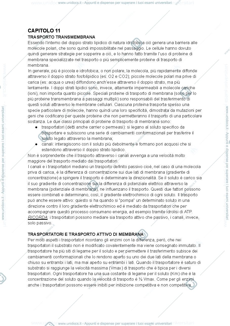 Anteprima pagina 1 — Riassunto capitolo 11 biologia cellulare 