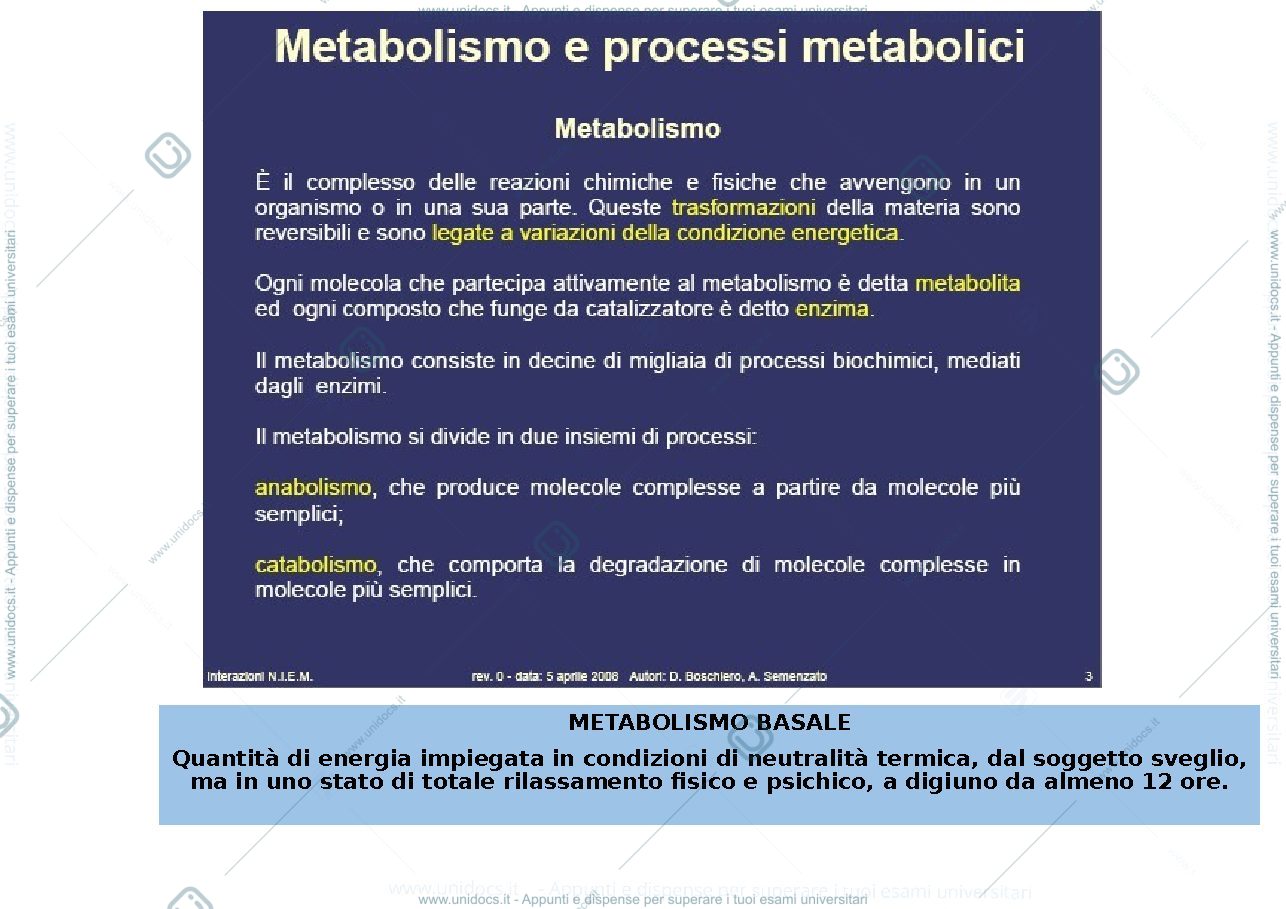 Anteprima pagina 1 — Zoologia