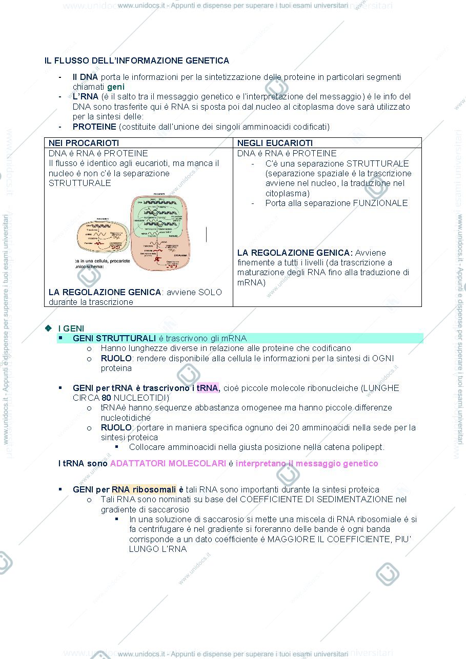Anteprima pagina 2 — Materiale secondo esonero biologia