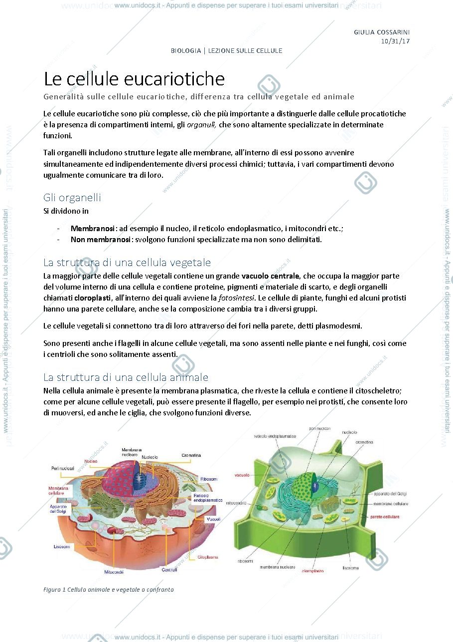 Anteprima pagina 1 — Appunti sulla cellula eucariote