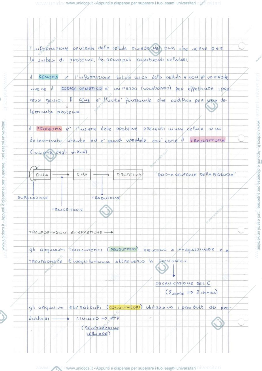 Anteprima pagina 3 — APPUNTI DI BIOLOGIA