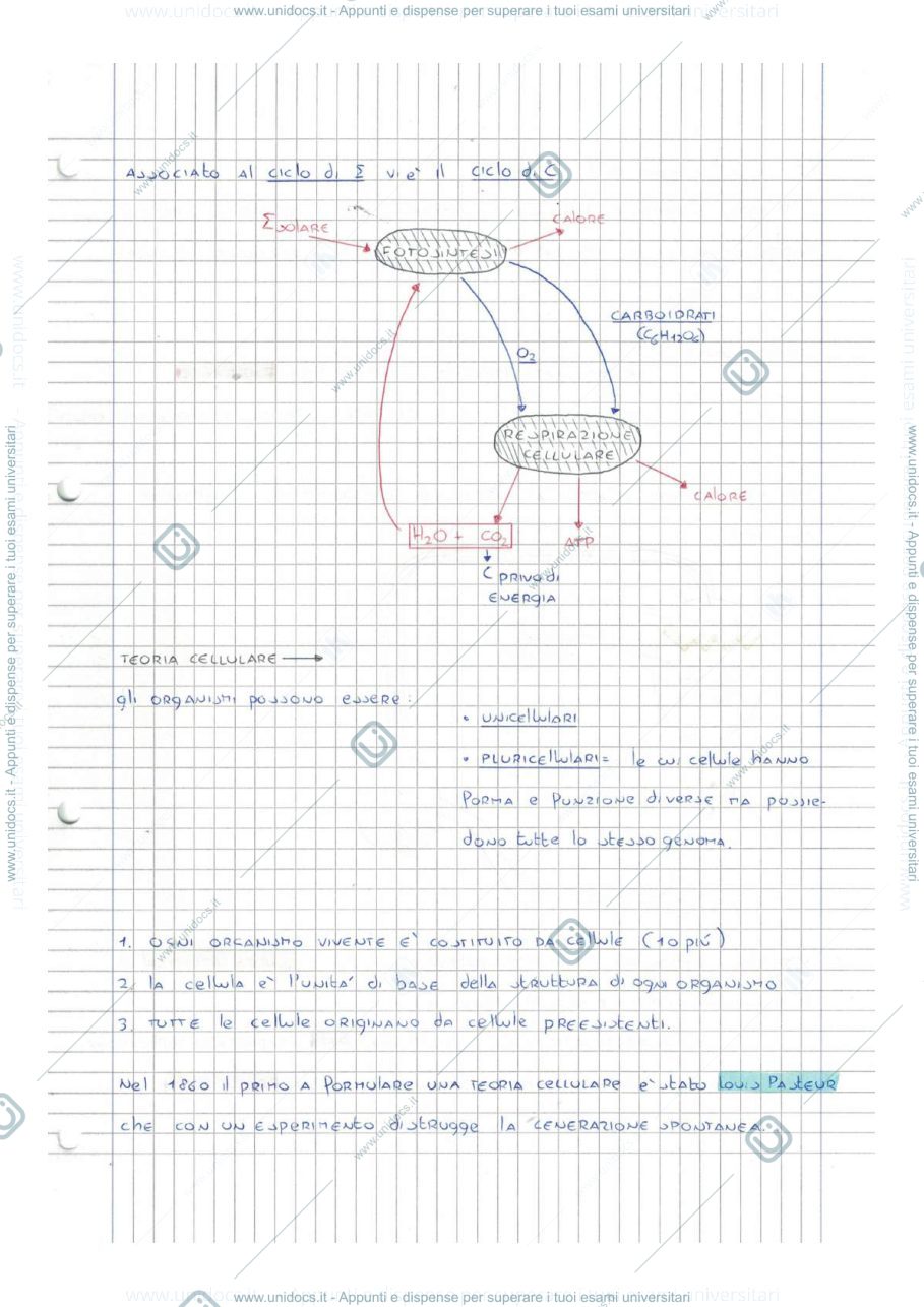 Anteprima pagina 4 — APPUNTI DI BIOLOGIA