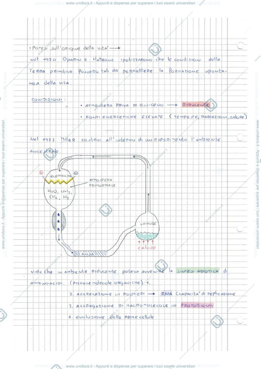 Anteprima pagina 5 — APPUNTI DI BIOLOGIA