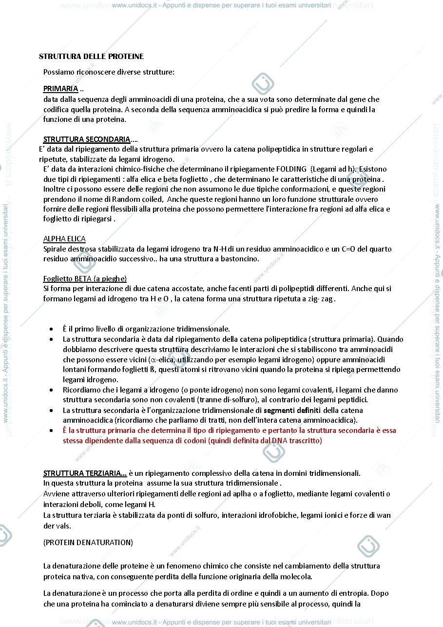 Anteprima pagina 2 — Appunti biologia