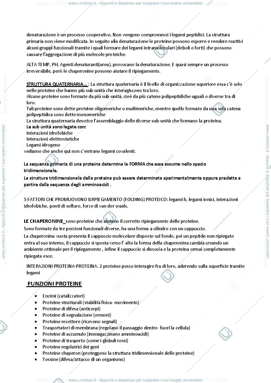 Anteprima pagina 3 — Appunti biologia