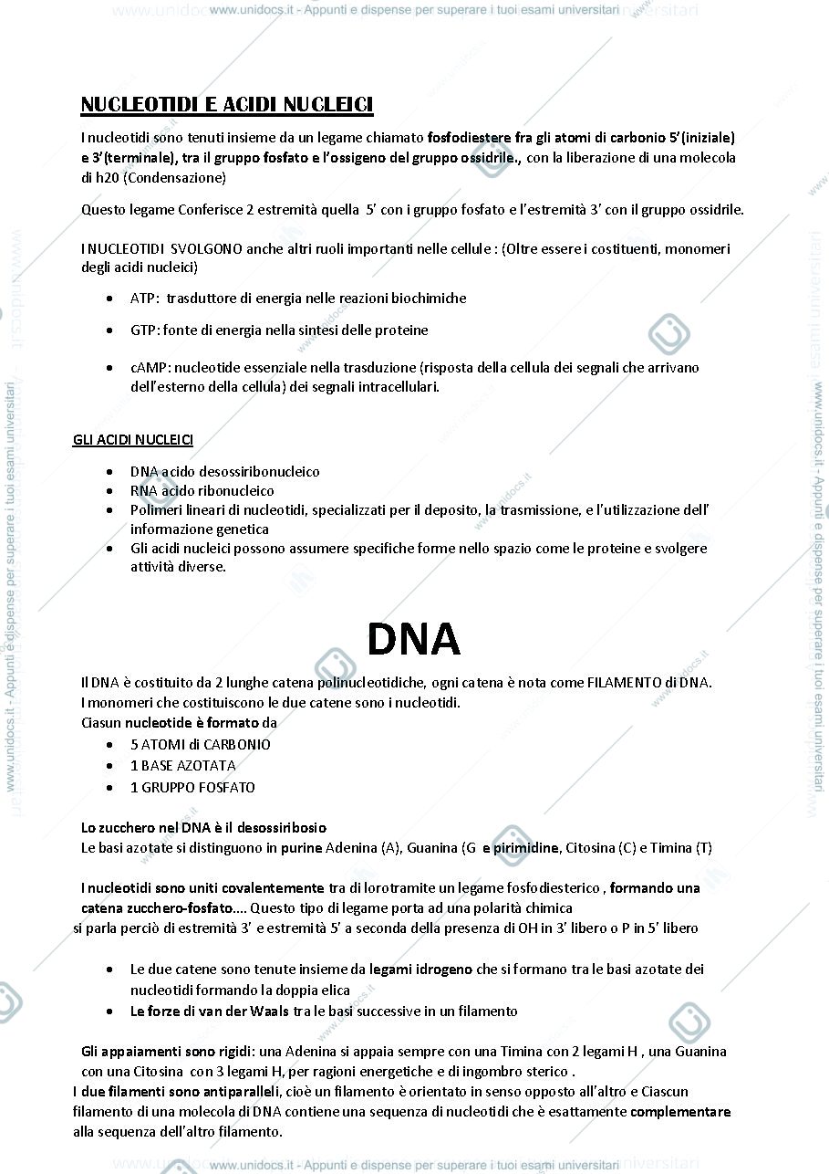 Anteprima pagina 4 — Appunti biologia