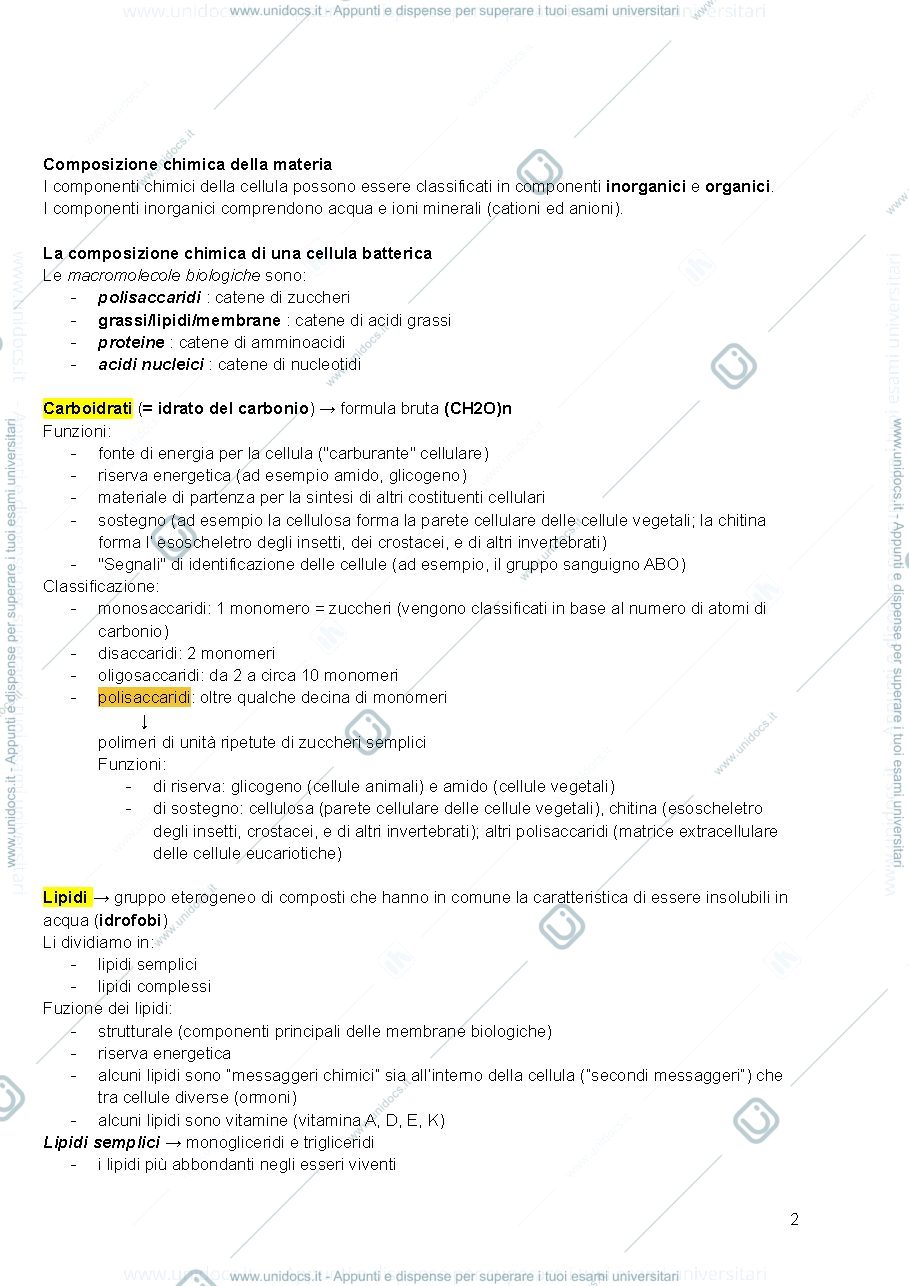 Anteprima pagina 2 — Biologia