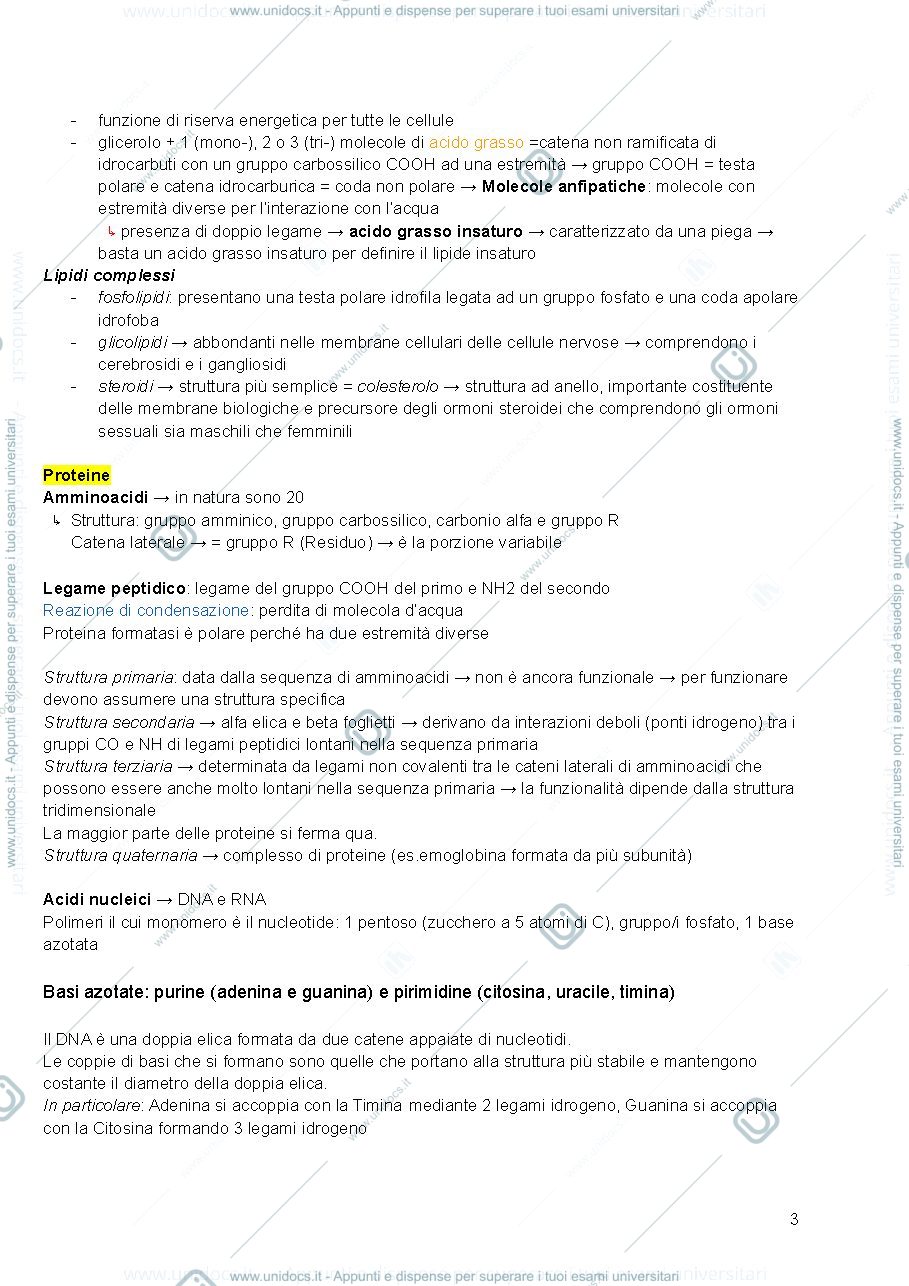 Anteprima pagina 3 — Biologia