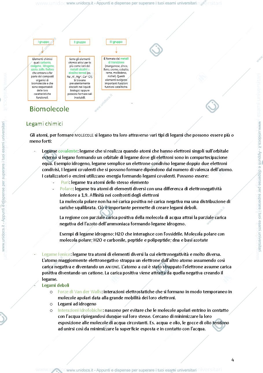 Anteprima pagina 4 — Biologia cellulare e vegetale