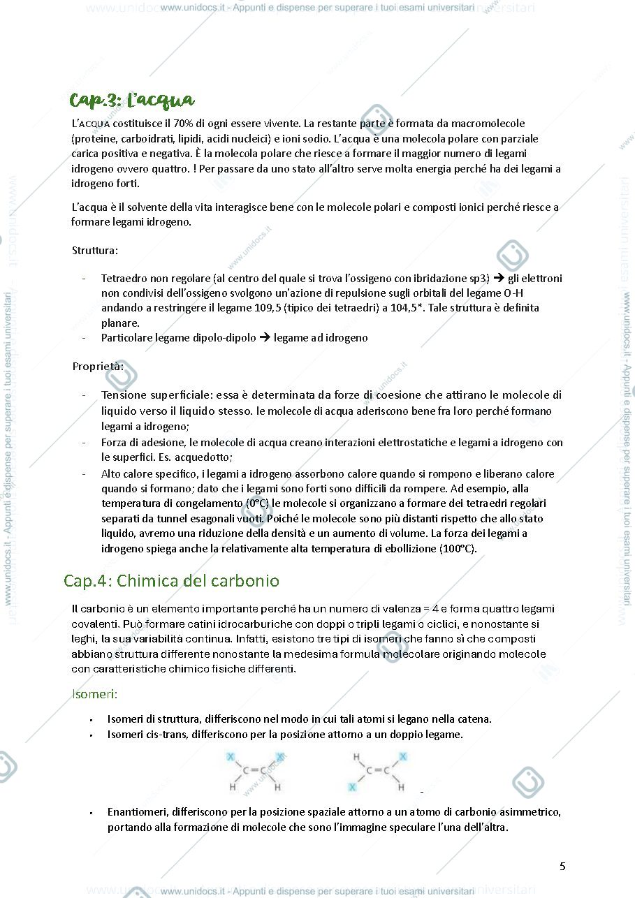 Anteprima pagina 5 — Biologia cellulare e vegetale