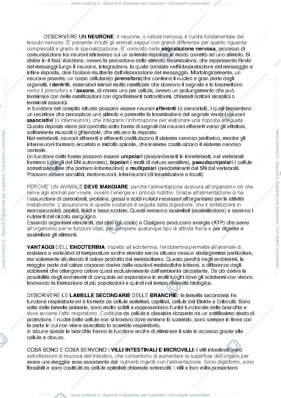 Anteprima pagina 1 — Domande d'esame