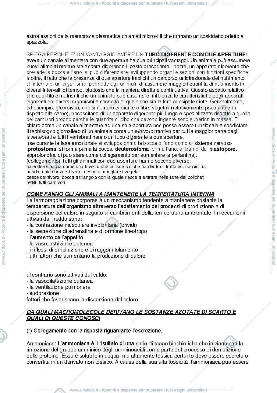 Anteprima pagina 2 — Domande d'esame