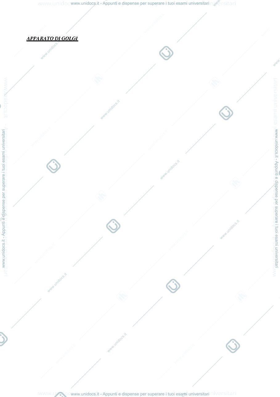 Anteprima pagina 1 — biologia - apparato di golgi