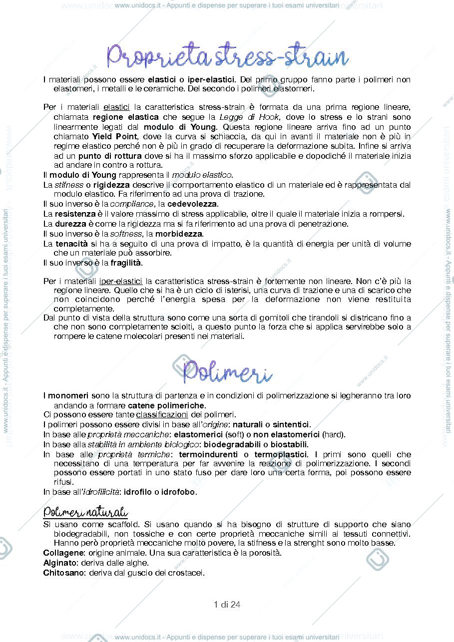 Anteprima pagina 1 — riassunto del programma 