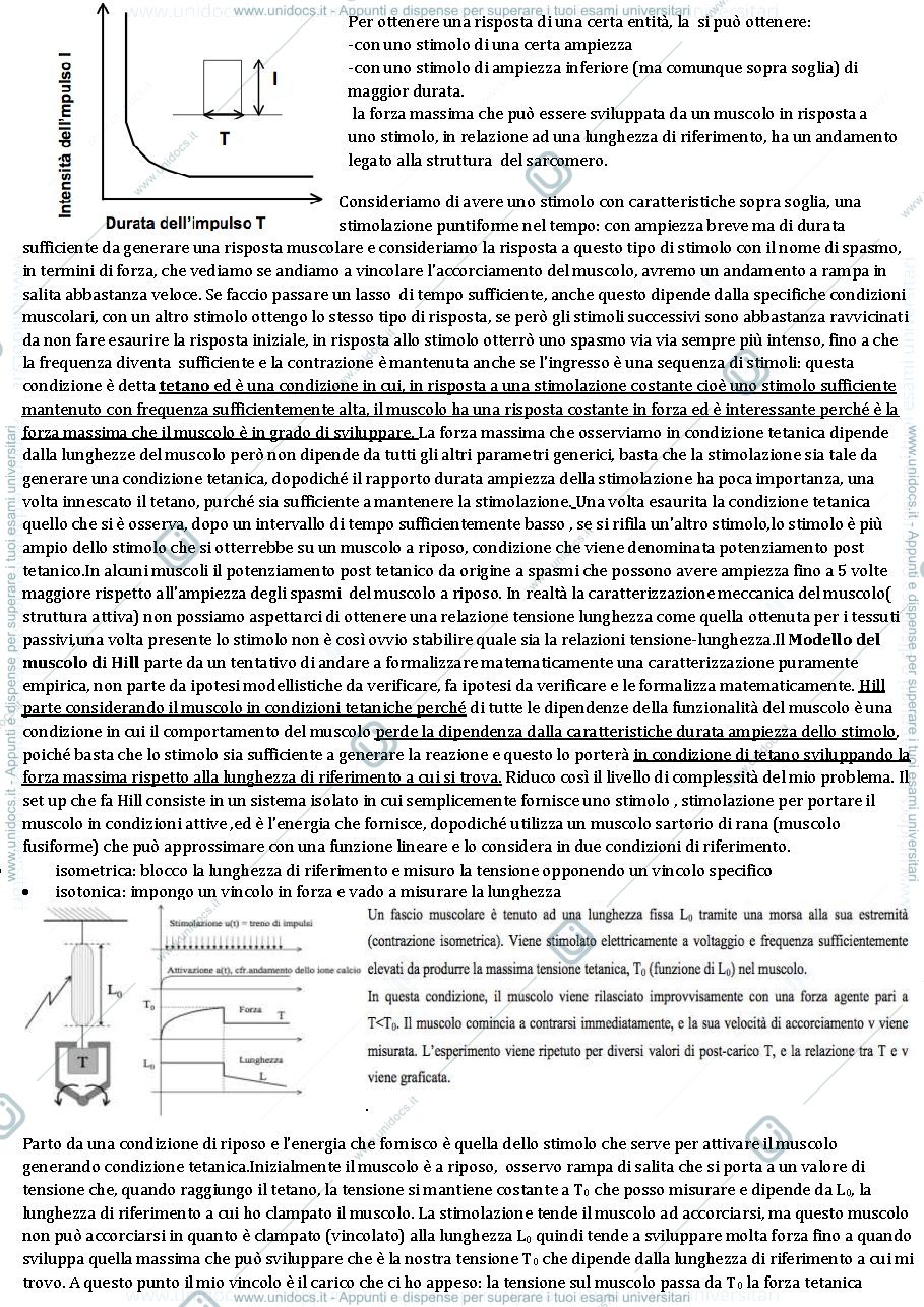 Anteprima pagina 2 — RIASSUNTI DELLE SBOBINE